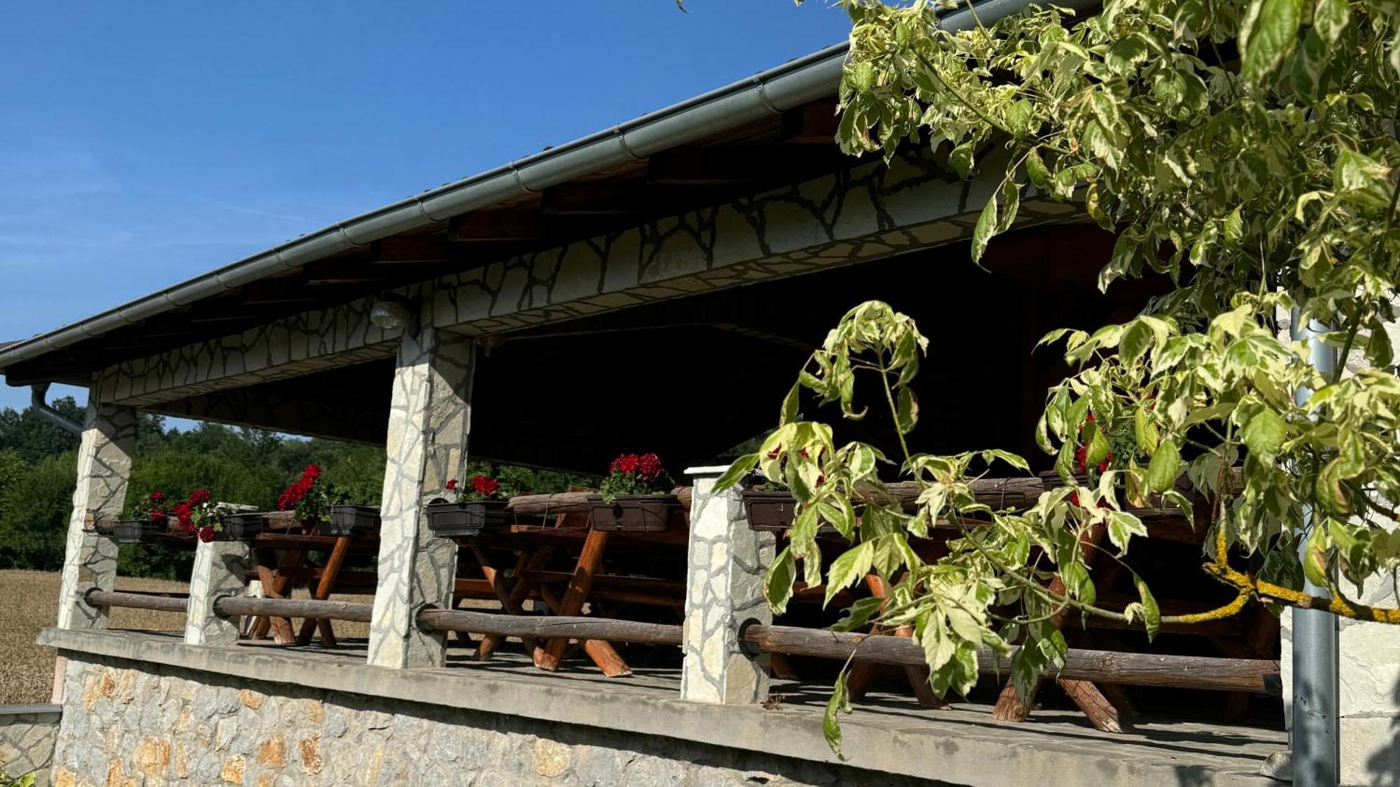 Forest Camp Despotovac Esterno foto