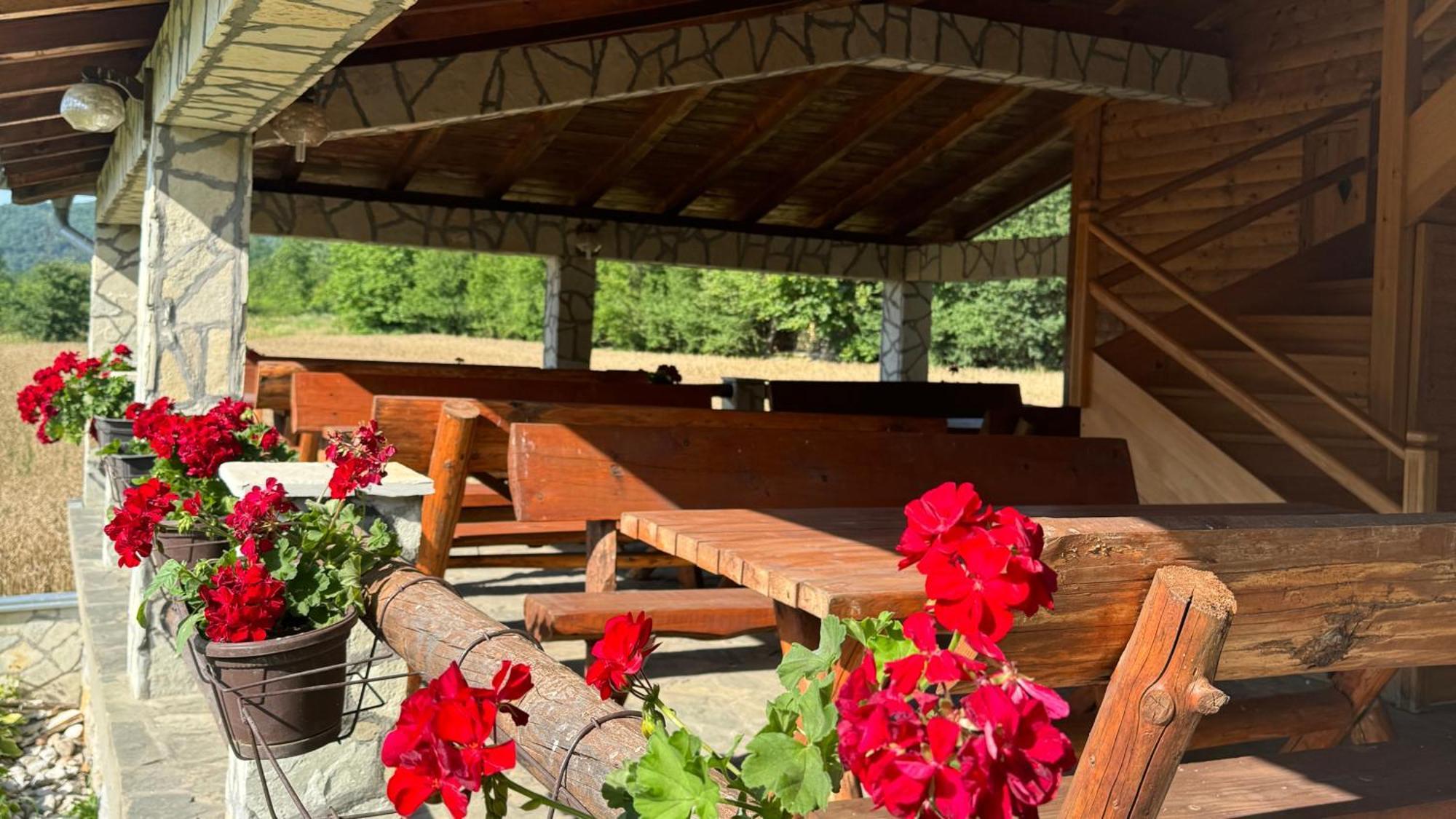 Forest Camp Despotovac Esterno foto